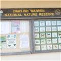 Dawlish Warren 014